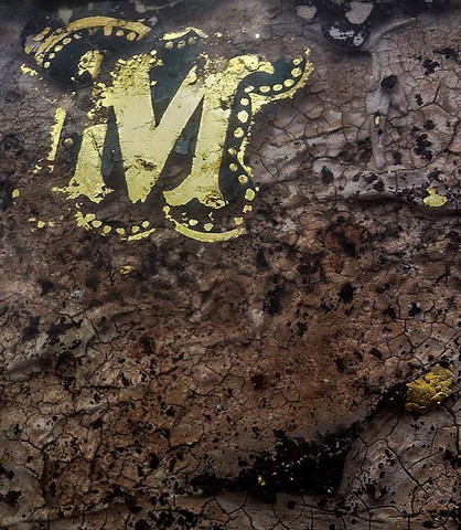 Mis for MemoryPhotography by Colleen Johnson